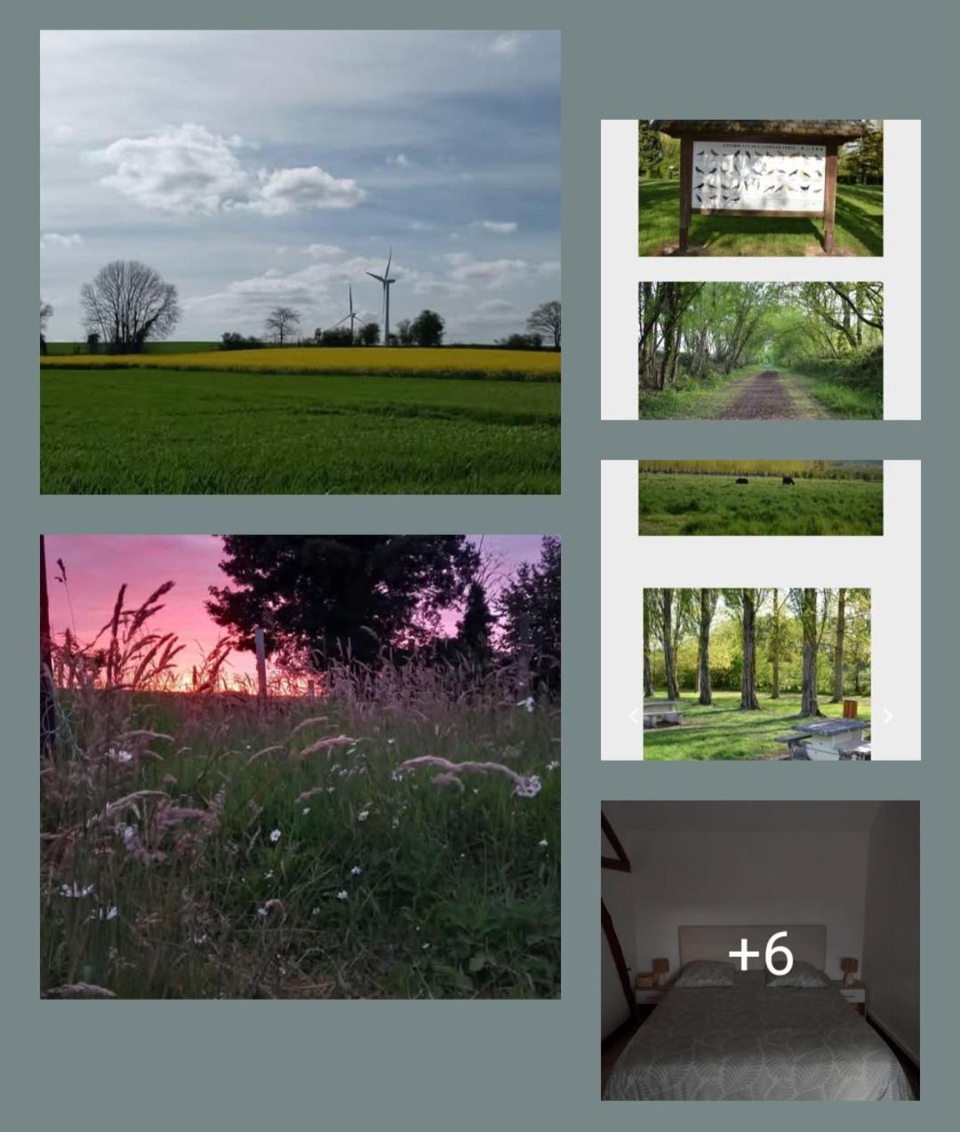 La Ferme Des Aristochats Blicourt 外观 照片